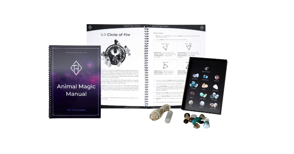 Animal Magic Workshop inclusions